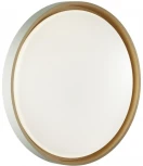 Настенно-потолочный светильник Sonex Kisil 7645/DL пластик/белый LED 48Вт 4000К D415 IP43