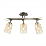 Потолочная люстра на штанге Citilux Мерида CL142134 (220V)