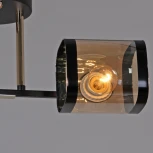 Потолочная люстра на штанге Reluce 09063-3.3-02 BK+FG (220V)
