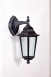 Уличный настенный фонарь Oasis Light PETERSBURG PL 79802P Bl
