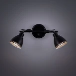 Спот Citilux Робуста CL509522