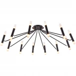 Потолочная люстра Maytoni Vigo MOD620CL-24B