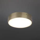 Потолочный светильник круглый Aployt Evon APL.0113.29.18 (LED, 220V, круглые)