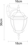 Настенный фонарь уличный Arte Lamp Pegasus A3152AL-1BN (220V, IP44)