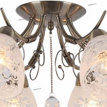 Потолочная люстра Omnilux Casagliana OML-53807-08 (220V)