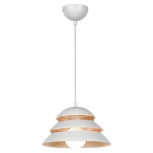 Подвесной светильник Lussole Loft Beijing GRLSP-8130 (220V, на проводе, круглые, IP21)