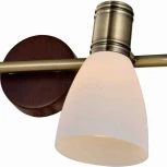 Спот Toplight Sharyl TL3720Y-03BB