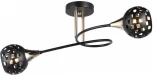 Потолочная люстра на штанге Imex MD.19074-2-S-BK+FGD