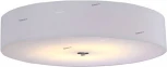 Потолочный светильник Crystal Lux Jewel PL500 WH