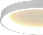 Потолочный светильник круглый Mantra Niseko 8638 (регулировка яркости, LED, 220V, пульт управления, круглые)