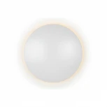 Настенный светильник iLedex Lunar ZD8102-18W WH