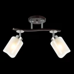 Потолочная люстра на штанге Citilux Фортуна CL156122 (220V)