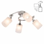 Потолочная люстра Citilux Сиерра CL119240 (220V)