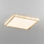 Настенно-потолочный светильник Citilux Бейсик CL738K242V (регулировка яркости, LED, 220V, IP40)