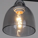 Потолочная люстра на штанге Reluce 06098-0.3-02 BK+CR