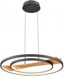 Подвесной светильник Velante 450-063-02 (LED, 220V, на проводе, круглые)