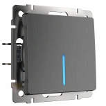 Выключатель одноклавишный с подсветкой (графит рифленый) Werkel W1110104 (a050749)