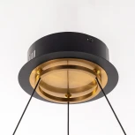 Подвесной светильник светодиодный Citilux Helly CL211082 (220V, на проводе, круглые)