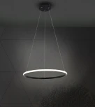 Подвесной светильник Wedo Light Lisel WD6021/1P-BK