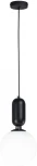 Подвесной светильник AM Group AM460 L200 BK (220V, на проводе, шар)