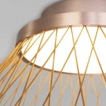 Потолочный светильник круглый Eurosvet Cesta 40019/1 LED коричневый (220V, круглые)