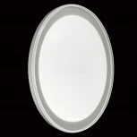 Настенно-потолочный светильник Sonex Kabrio 2049/DL