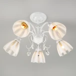 Потолочная люстра на штанге Eurosvet Floranse 30155/5 белый (220V)