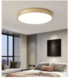 Светильник настенно-потолочный TopDecor Union P2 33 (LED, 220V, круглые)