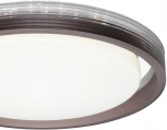 Настенно-потолочный светильник Sonex 7698/DL Meden пластик/кофе/прозрачный LED 48Вт 3000-6000K пульт ДУ (220V, круглые, IP43)
