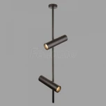 Потолочный светильник Elti GU10 2x50Вт Maytoni Technical C021CL-02B (220V, круглые)