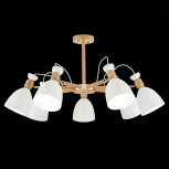 Потолочная люстра Evoluce Balcamo SLE103802-07 (220V)