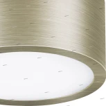 Накладной точечный светильник Lightstar Zolla 213911 (LED, 220V, IP44)