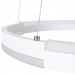 Подвесной светильник светодиодный с пультом Alfie A2180SP-60WH