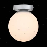 Настенно-потолочный светильник ST Luce Acini SL717.501.01