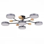 Потолочная люстра на штанге Evoluce Faema SLE6006-702-06