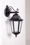 Уличный настенный фонарь Oasis Light PETERSBURG M 79802M/02 Bl (220V, фонарь, IP44)