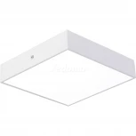 Потолочный светильник Favourite Flashled 2066-24C