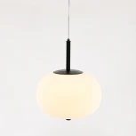 Подвесной светильник светодиодный в форме шара Cloyd Avogadro 11362 (220V, на тросе, шар)