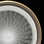 Потолочная люстра DeMarkt Норден 660013901 (LED, 220V, пульт управления, круглые)