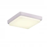 Потолочный светильник Evoluce Taddio SLE200212-01 (LED, 220V)