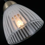 Потолочная люстра на штанге ILLUMICO IL0198-3CSQ-79 BK AB