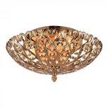 Потолочная люстра Omnilux Cipollone OML-75907-02 (220V)