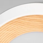 Потолочный светильник круглый Loft It Folk 10255/350 White (LED, 220V, круглые)