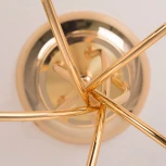 Потолочная люстра Citilux Лайма CL155152 (220V)