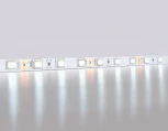 Светодиодная лента Ambrella Illumination Led Strip 24V GS4003 5050 60Led /14.4W m/ 24V IP20 6500K 5m