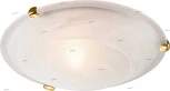 Настенно-потолочный светильник Sonex Duna 153/K золото