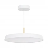 Подвесной светильник SP-ELEGANT-R500-37W Warm3000 (WH, 120 deg, 230V) (Arlight, IP20 Металл) 033925(1) (LED, на проводе)