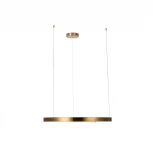 Подвесной светильник Loft IT Ring 10013L (LED, 220V, на тросе, кольцо)