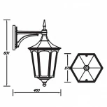 Настенный фонарь уличный Oasis Light 79702L Bl (220V, IP44)