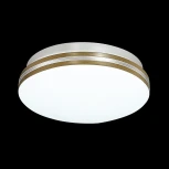 Настенно-потолочный светильник Sonex Smalli 3015/CL (LED, 220V, круглые, IP43)